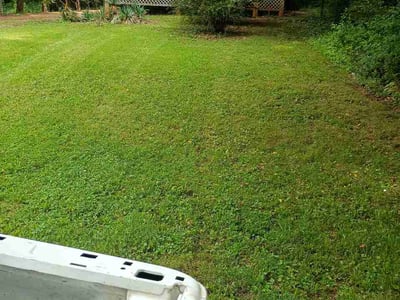 Lawn care service in Hickory, 28602