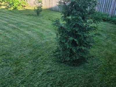 Lawn care service in Baltimore, 21212