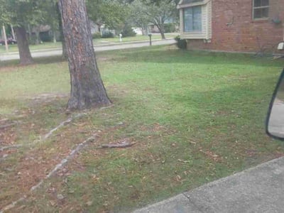Lawn care service in Slidell, 70461