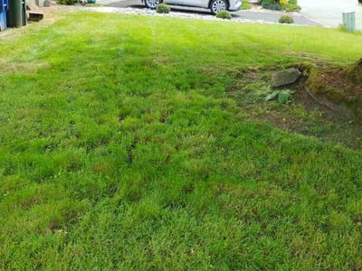 Lawn care service in Kirkland, 98034