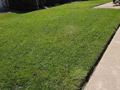 Lawn care service in Roseville, 95747