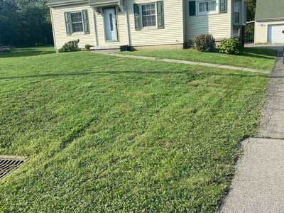 Lawn care service in Cincinnati, 45246