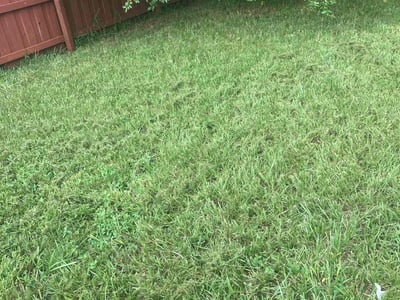 Lawn care service in Jacksonville, 32210