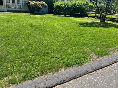 Lawn care service in West Hartford, 06117