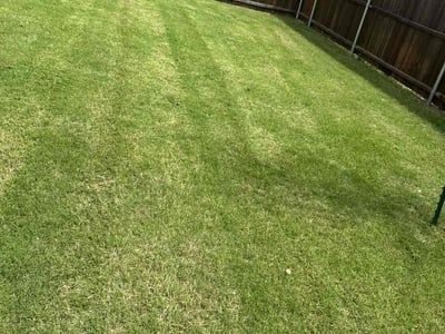 Lawn care service in McKinney, 75071