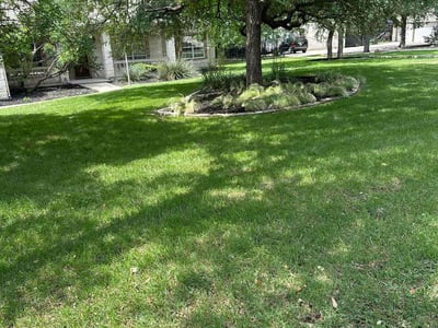 Lawn care service in Georgetown, 78633