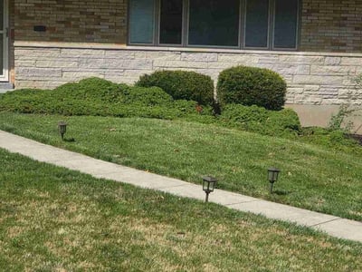 Lawn care service in , 