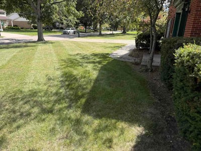 Lawn care service in Lansing, 48911