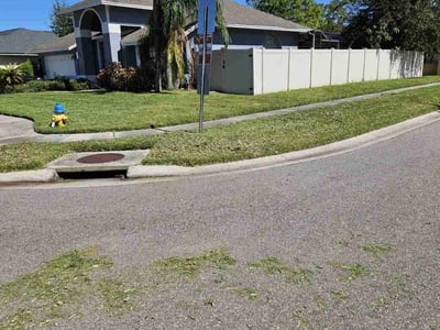 Lawn care service in Tampa, 33635