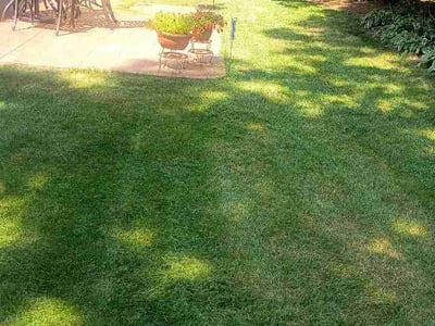 Lawn care service in Kirkwood, 63122