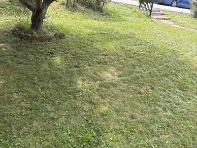 Lawn care service in Pittsburgh, 15205