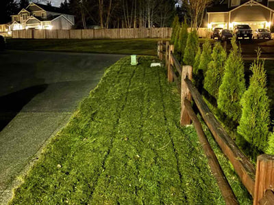 Lawn care service in Snohomish, 98290