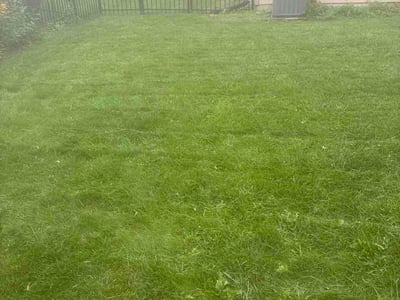 Lawn care service in Aurora, 60504