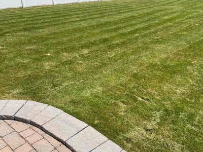Lawn care service in Glenmont, 12077