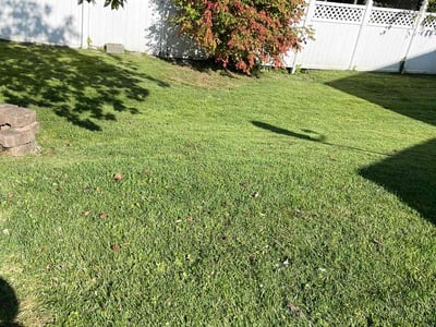 Lawn care service in Easton, 18045