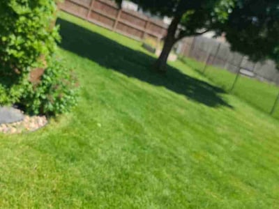 Lawn care service in Sioux Falls, 57106