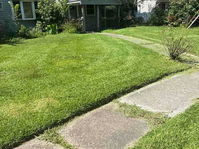 Lawn care service in Portsmouth, 23702