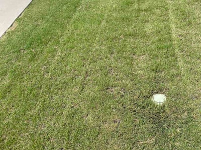 Lawn care service in Fuquay-Varina, 27526