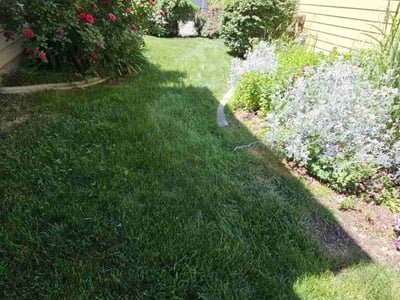 Lawn care service in Boise, 83716