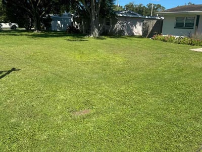 Lawn care service in St. Petersburg, 33703