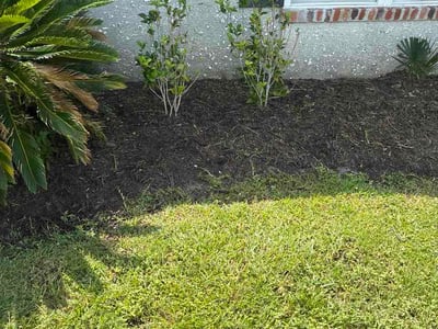 Lawn care service in Kingsland, 31548