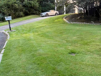 Lawn care service in Marietta, 30060