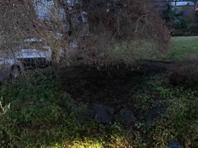 Lawn care service in Everett, 98208