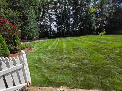 Lawn care service in Cumming, 30040
