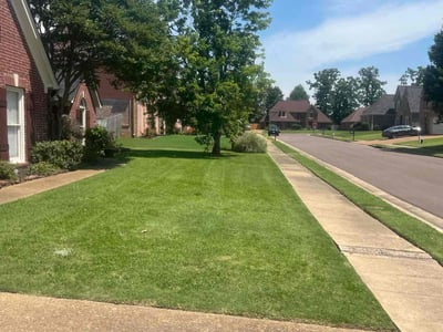 Lawn care service in Cordova, 38016
