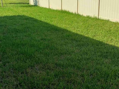 Lawn care service in Sarasota, 34238