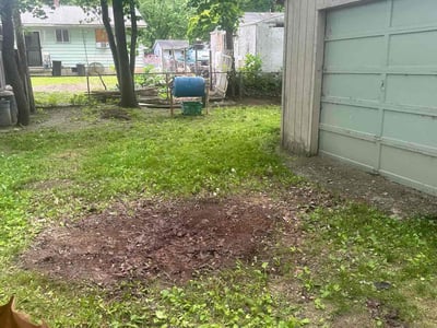 Lawn care service in Flint, 48506