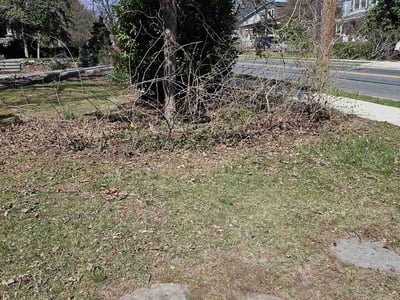 Lawn care service in Takoma Park, 20912