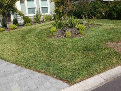 Lawn care service in Lakeland, 33803