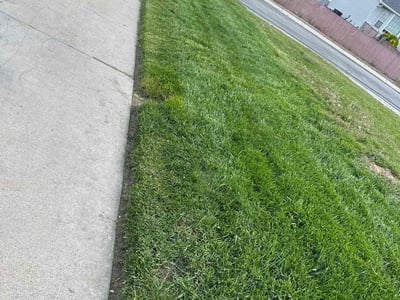 Lawn care service in Salt Lake City, 84118