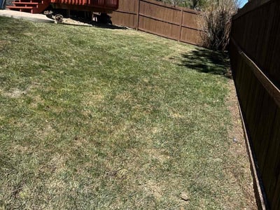 Lawn care service in Castle Rock, 80104
