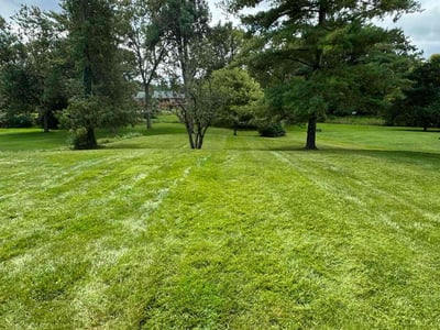 Lawn care service in Farmington Hills, 48334