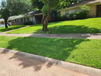 Lawn care service in Shreveport, 71107