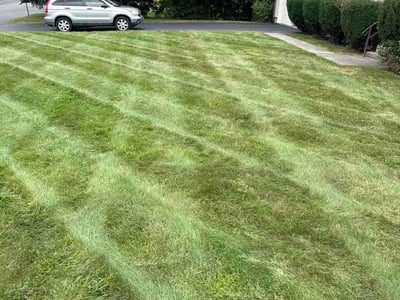 Lawn care service in East Longmeadow, 01028