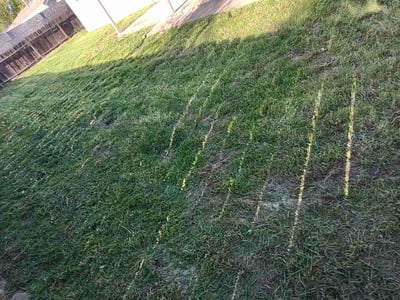 Lawn care service in Modesto, 95351