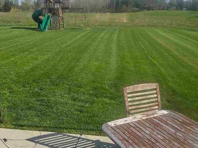 Lawn care service in Mequon, 53097