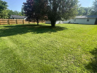 Lawn care service in Toledo, 43607