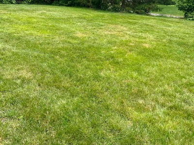 Lawn care service in North Attleborough, 02760