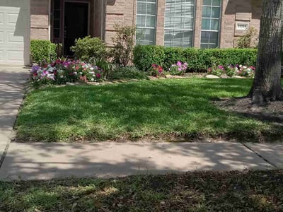 Lawn care service in Houston, 77095