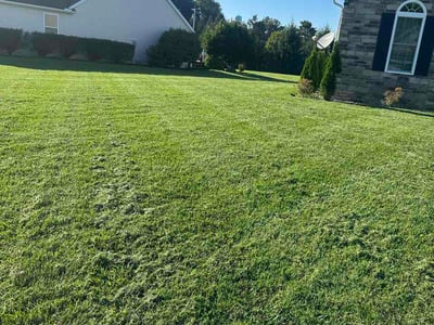 Lawn care service in Garrettsville, 44231