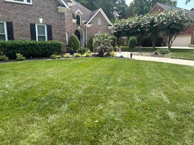 Lawn care service in Huntersville, 28078