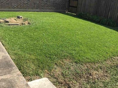Lawn care service in Scott, 70583