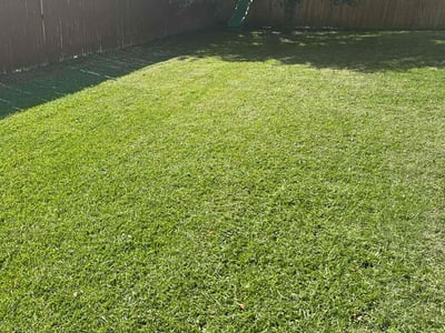 Lawn care service in Boerne, 78006