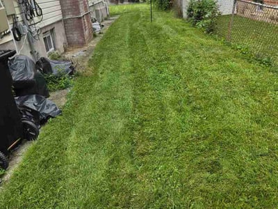 Lawn care service in Queens, 11413