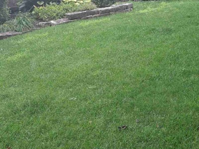 Lawn care service in Cincinnati, 45236