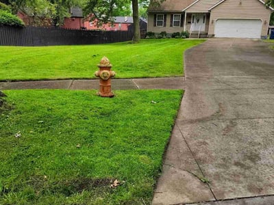 Lawn care service in Youngstown, 44512